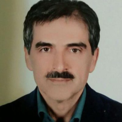 محسن الوندی- دانشگاه بین المللی امام خمینی